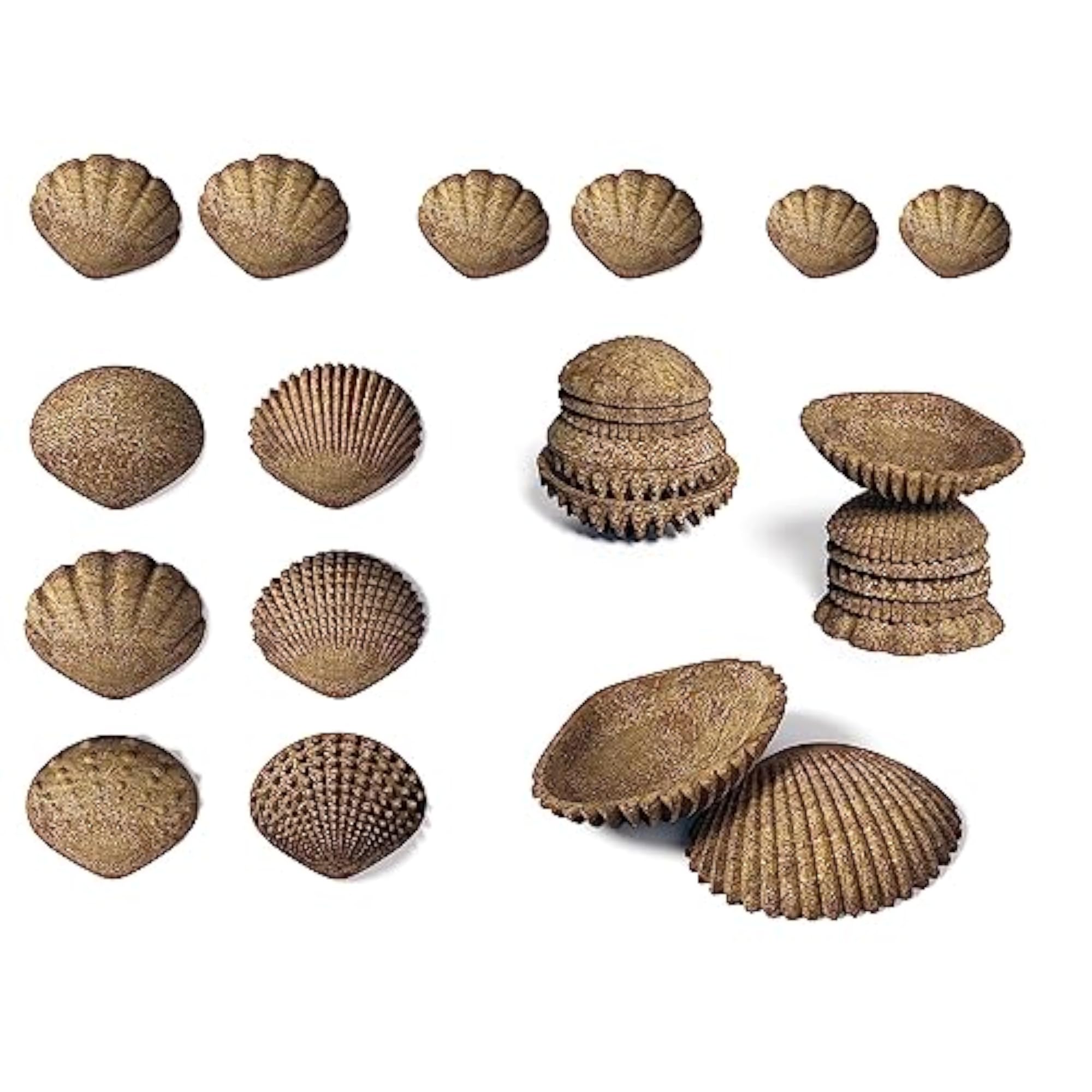 EDX Education ECO Friendly Tactile Sea Shells